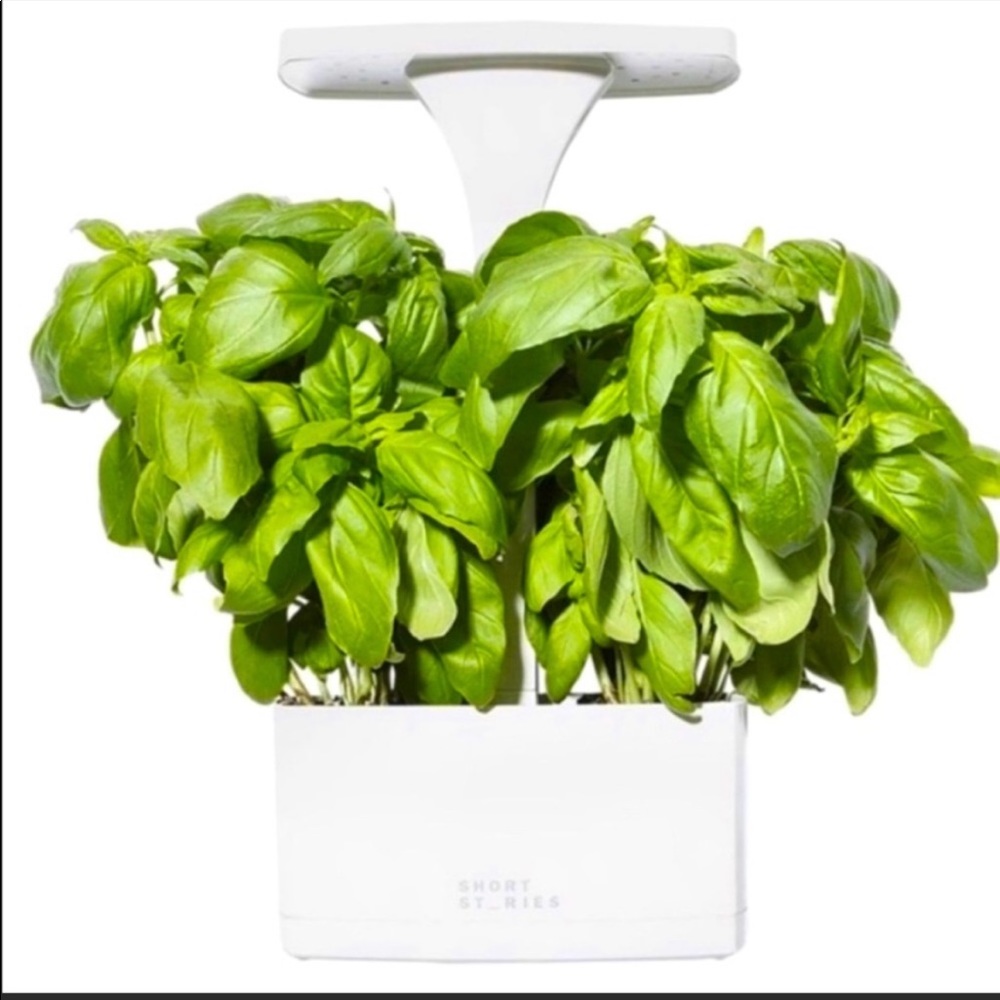 Short Stories LED Indoor Planter - NEW
